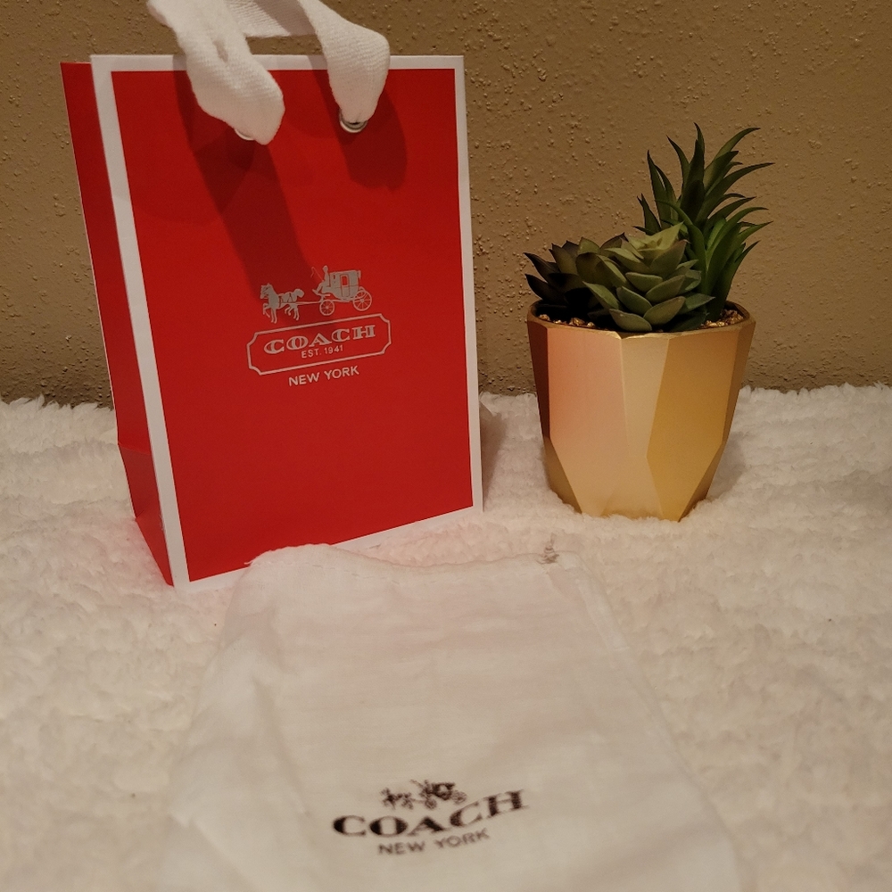 Coach Small Gift Bag and Dust Bag